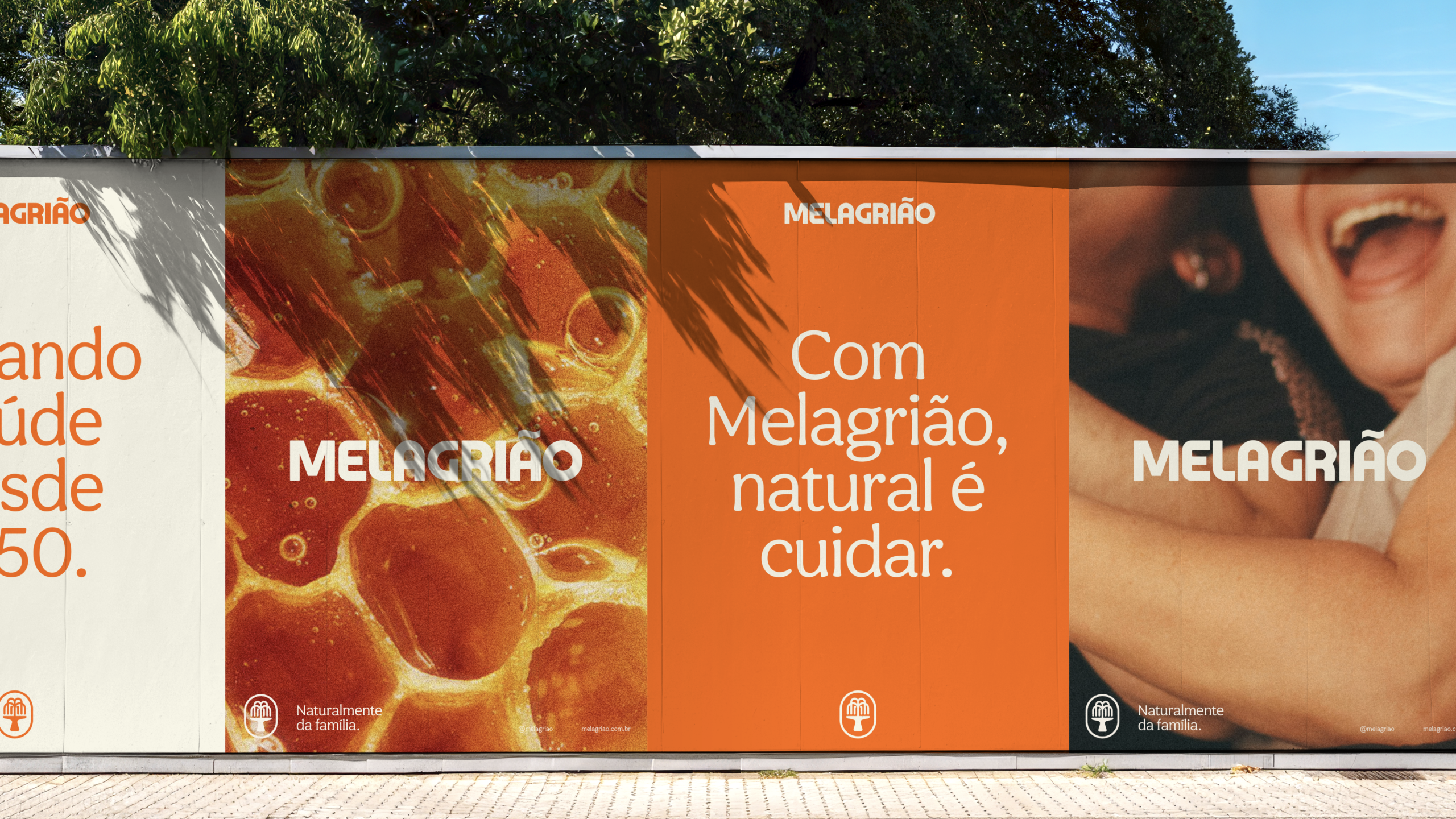 MelagriaoCase-03
